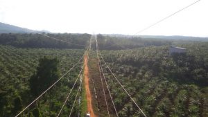 PLTA Kayan Akan Perkuat Kelistrikan di Kalimantan